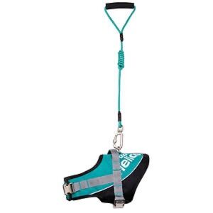HELIOS • Teal Bark Mudder Leash Harness Dog Walker